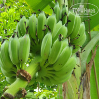 фото из отзыва ID 2222121