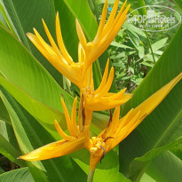 фото из отзыва ID 2222121