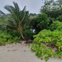 фото из отзыва ID 2222121