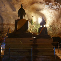 фото из отзыва ID 2222121