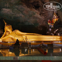 фото из отзыва ID 2222121