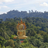 фото из отзыва ID 2222121