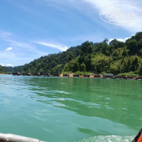 фото из отзыва ID 2222121