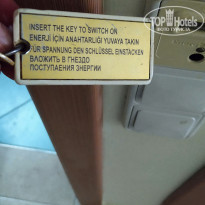 фото из отзыва ID 2222187