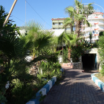 фото из отзыва ID 2222187