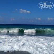 фото из отзыва ID 2222187