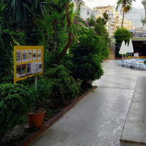 фото из отзыва ID 2222187