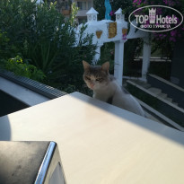 фото из отзыва ID 2222206