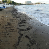 фото из отзыва ID 2222206