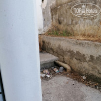 фото из отзыва ID 2222261