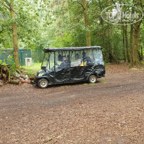 фото из отзыва ID 2222334