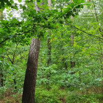 фото из отзыва ID 2222334