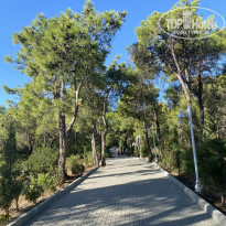 фото из отзыва ID 2222380