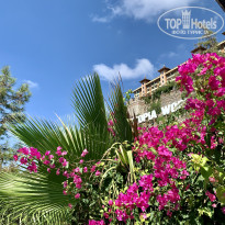 фото из отзыва ID 2222397