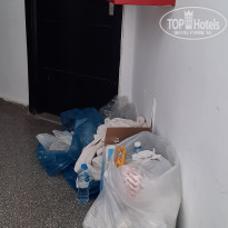 фото из отзыва ID 2222725