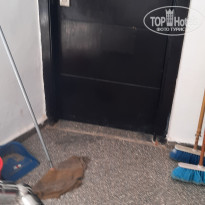 фото из отзыва ID 2222725