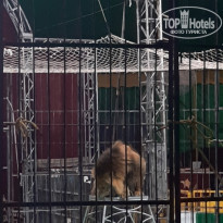 фото из отзыва ID 2222725