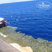 фото из отзыва ID 2222756