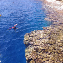 фото из отзыва ID 2222756