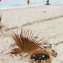 фото из отзыва ID 2222814