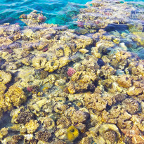 фото из отзыва ID 2222777