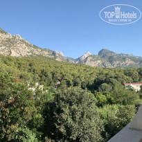 фото из отзыва ID 2222880