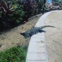 фото из отзыва ID 2222965