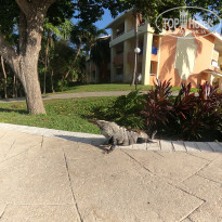 фото из отзыва ID 2222965