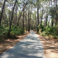 фото из отзыва ID 2223015