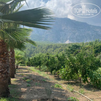 фото из отзыва ID 2223047