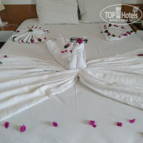 фото из отзыва ID 2222986