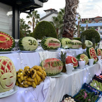 фото из отзыва ID 2223025