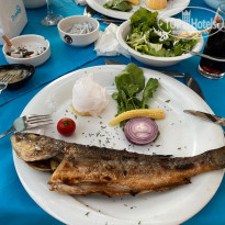 фото из отзыва ID 2223025