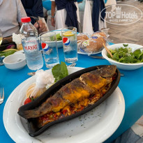 фото из отзыва ID 2223025