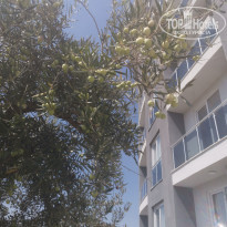 фото из отзыва ID 2223030