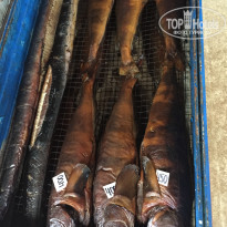 фото из отзыва ID 2223134