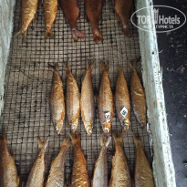 фото из отзыва ID 2223134