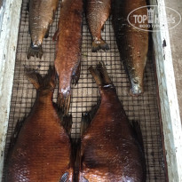 фото из отзыва ID 2223134