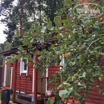 фото из отзыва ID 2223134