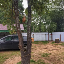 фото из отзыва ID 2223134