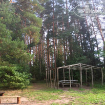 фото из отзыва ID 2223134