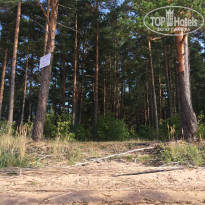 фото из отзыва ID 2223134