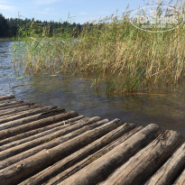 фото из отзыва ID 2223134