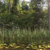 фото из отзыва ID 2223134