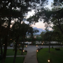 фото из отзыва ID 2223144