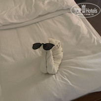 фото из отзыва ID 2223180