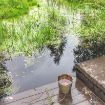 фото из отзыва ID 2223134