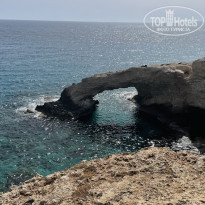 фото из отзыва ID 2223197