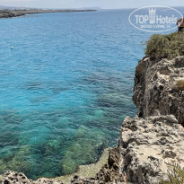 фото из отзыва ID 2223197