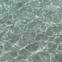 фото из отзыва ID 2223197